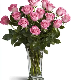 Tender Beauty