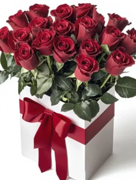 Royal Roses