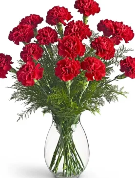 Perfectly Pink Carnations