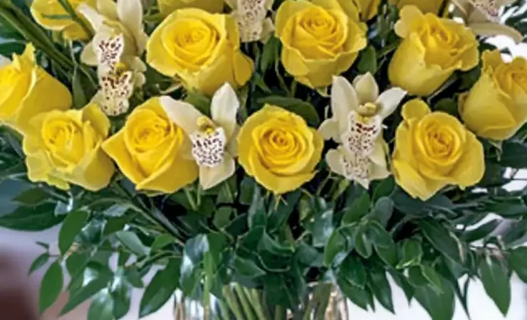 24 Tender Yellow Roses in a Vase