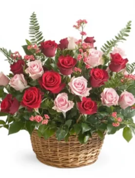 Luxurious Lilies