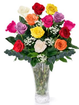 Dozen Long Stem Mixed Roses