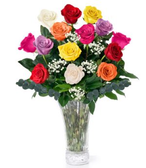 Dozen Long Stem Mixed Roses