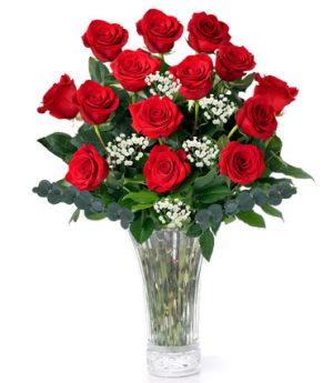 One Dozen Red Roses