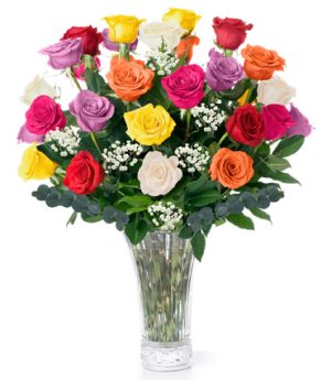 2 Dozen Long Stem Mix Roses