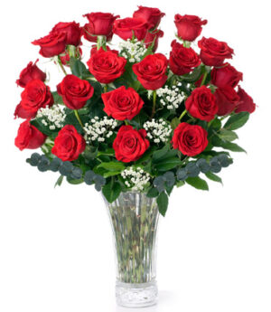 2 Dozen Long Stem Red Roses