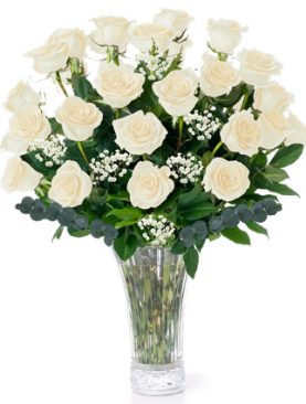 2 Dozen White Roses Long Stem