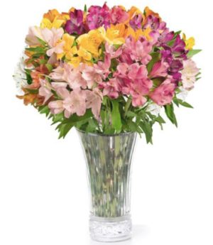 Alstroemeria Bouquet