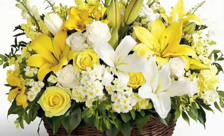 Sunkissed Yellow