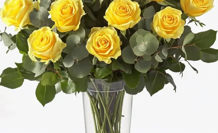 Yellow Roses
