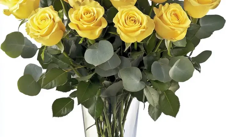 Luscious sunkissed yellow roses
