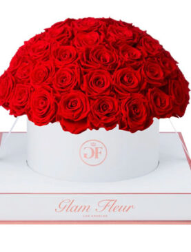 Blanche Grande Round Light Red