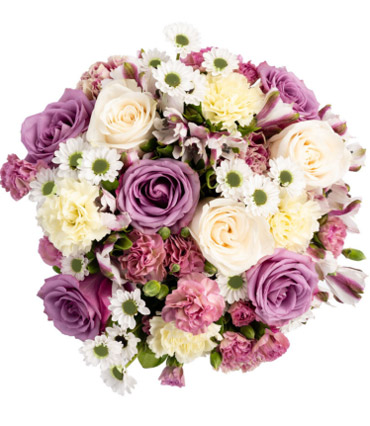 Lilac Haze - Gallery Image Rejuvenate top