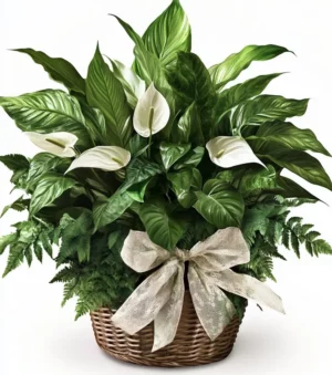 Vibrant Collection Basket