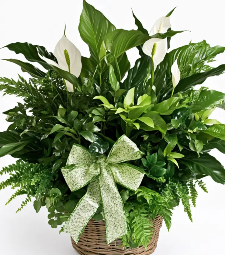 vibrant_collection_basket-3-1.webp