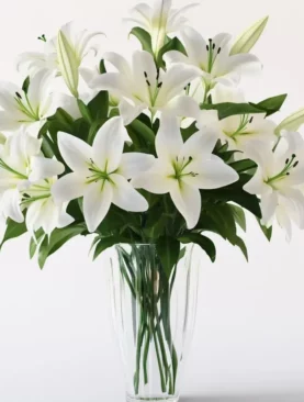 Zen Garden Bouquet